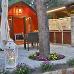 Sanfilippo Kamp alanı *
