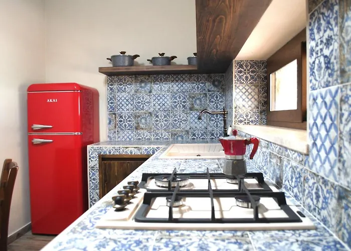 Sanfilippo * チェファル