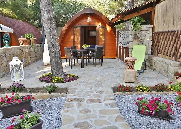 Sanfilippo キャンプ場 *