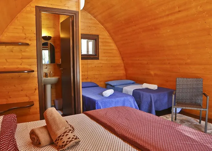 Sanfilippo * チェファル