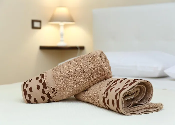 Sanfilippo キャンプ場