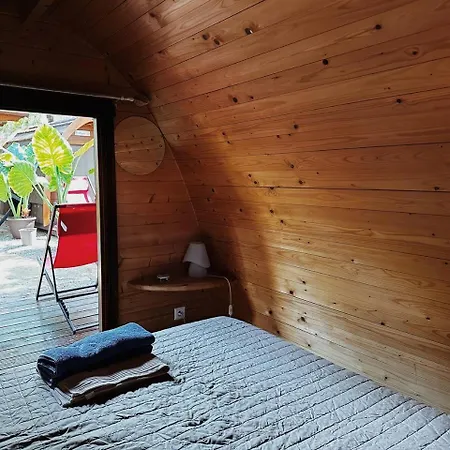 Sanfilippo تْشيفالو