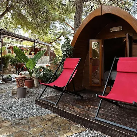 مكان تخييم Sanfilippo