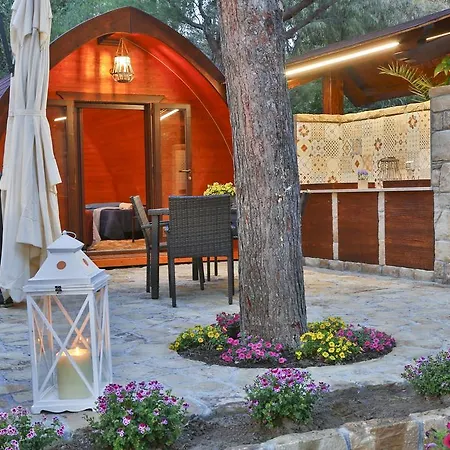 Sanfilippo Campsite *